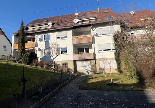 Garten + Freifläche