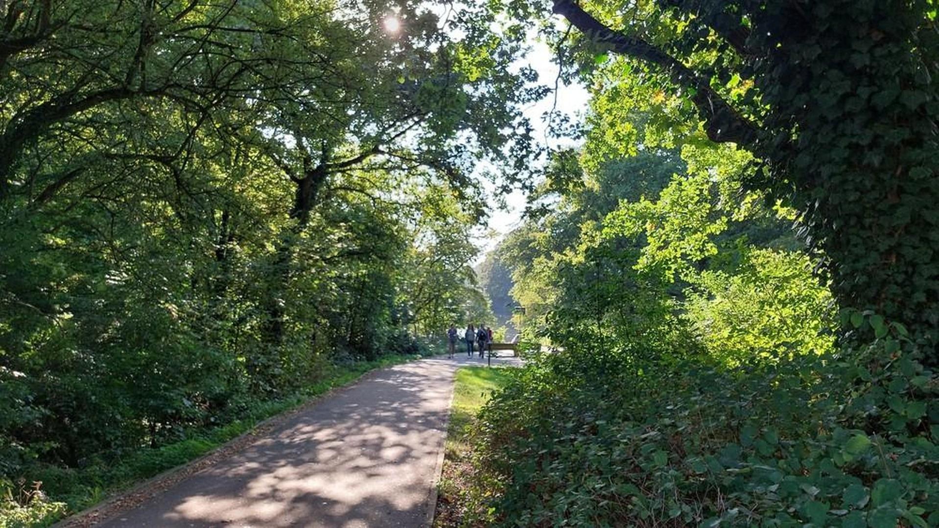 18-Umgebung - naechste 80 m 2