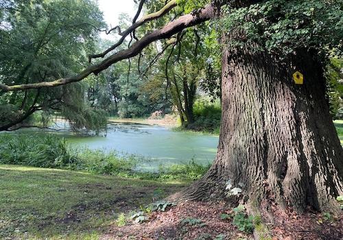 gepflegter Schlosspark