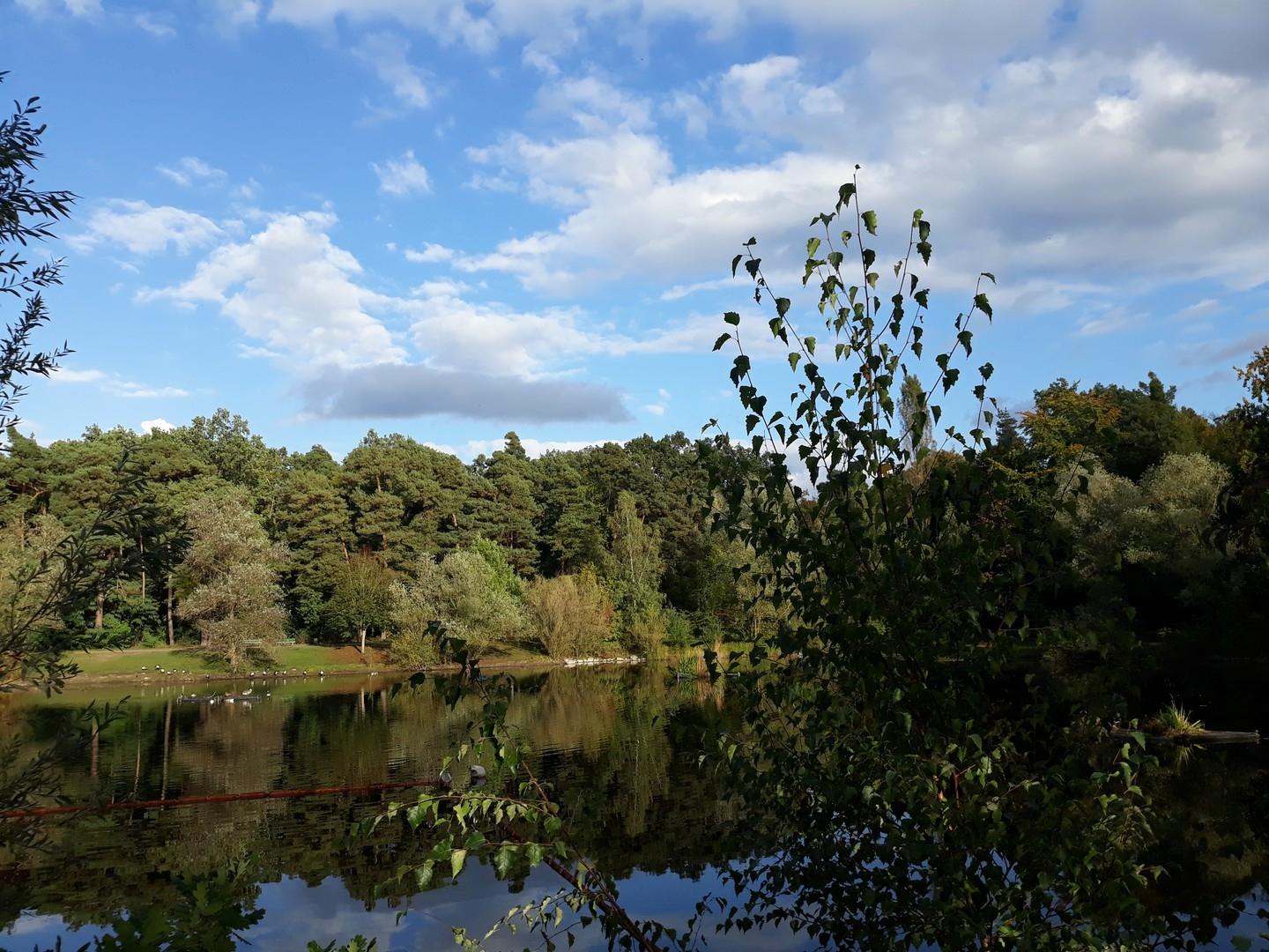 Wunderschöner Seeblick