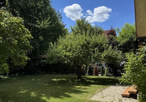 Seitl. Gartenansicht
