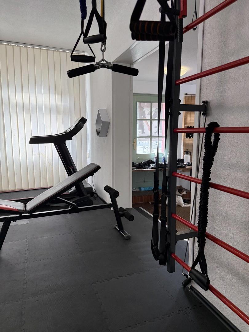 Behandlungs / Trainingsfläche
