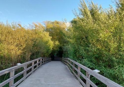 Naherholung Fließtalbrücke 
