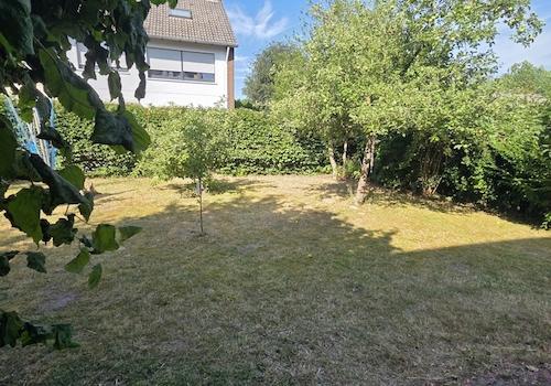 Garten1