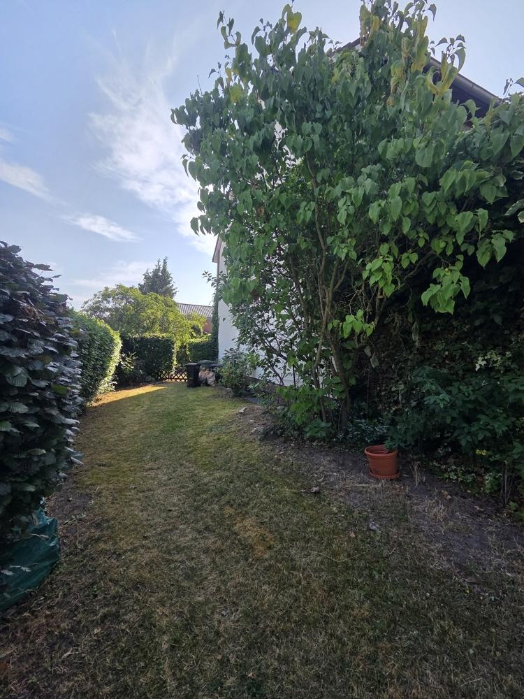 Garten2