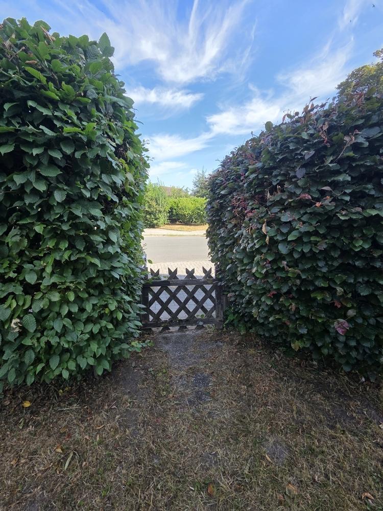 Garten Seiteneingang