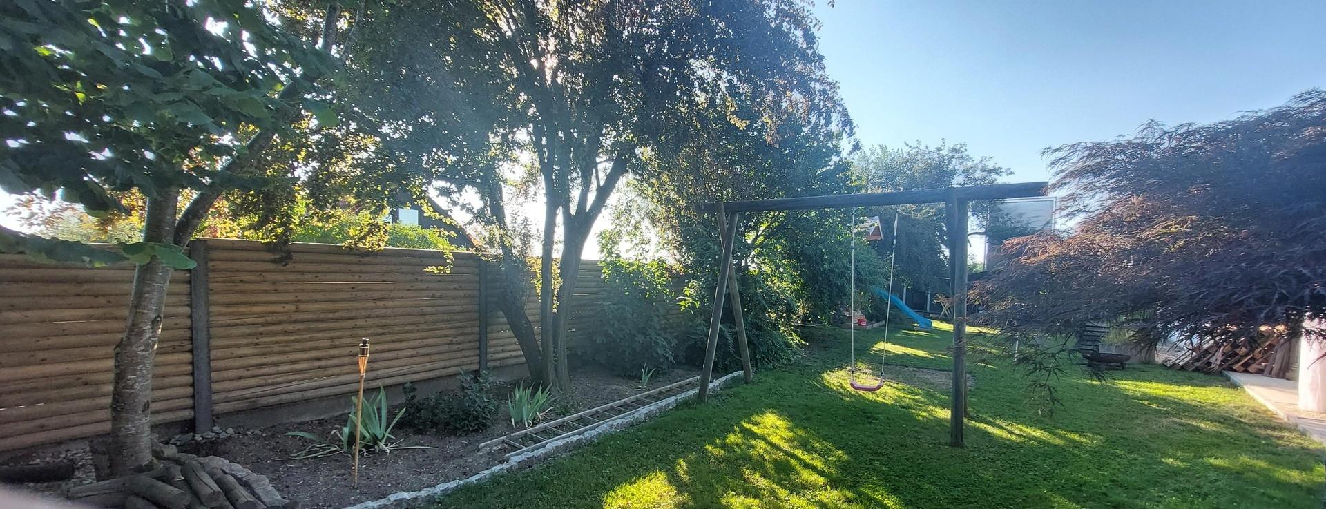 Blick in den Garten 