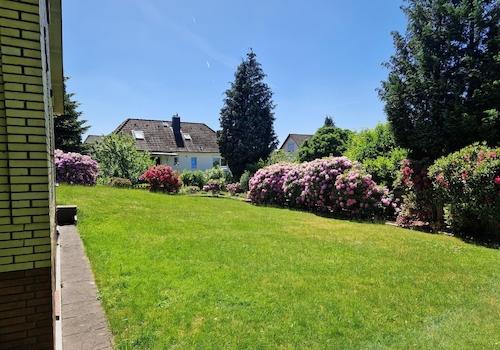 Blick in den Garten