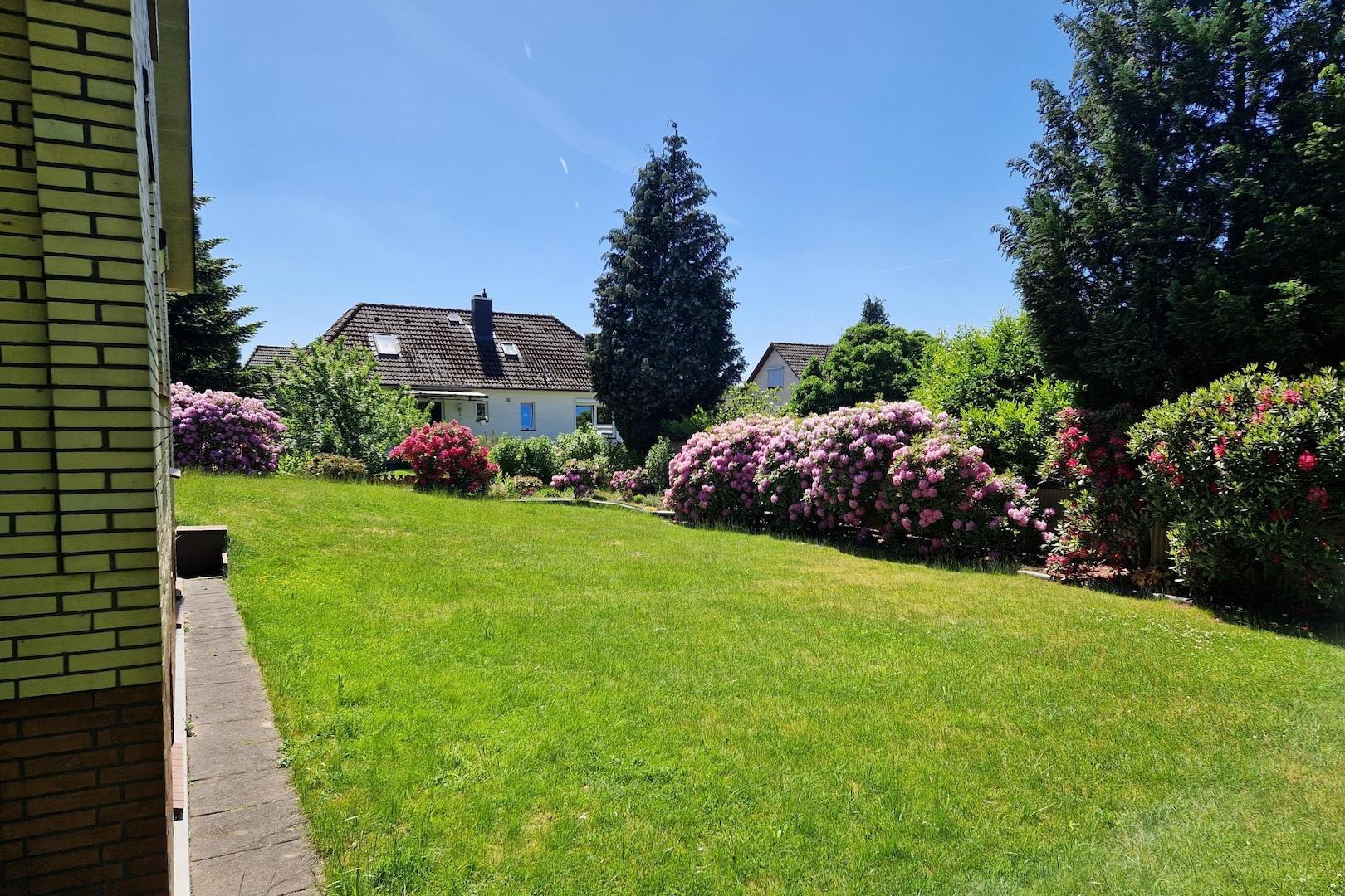 Blick in den Garten