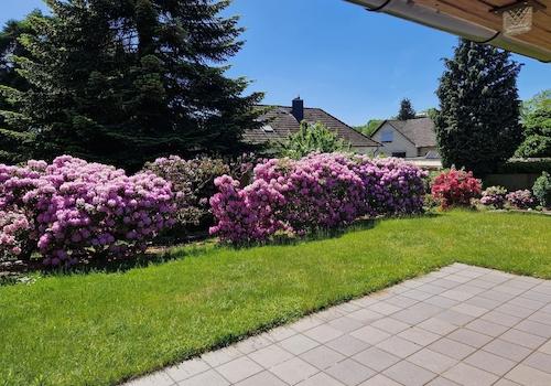 Blick von der Terrasse