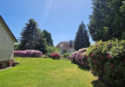 Blick in den Garten