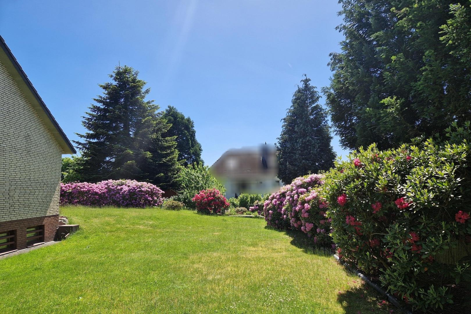 Blick in den Garten