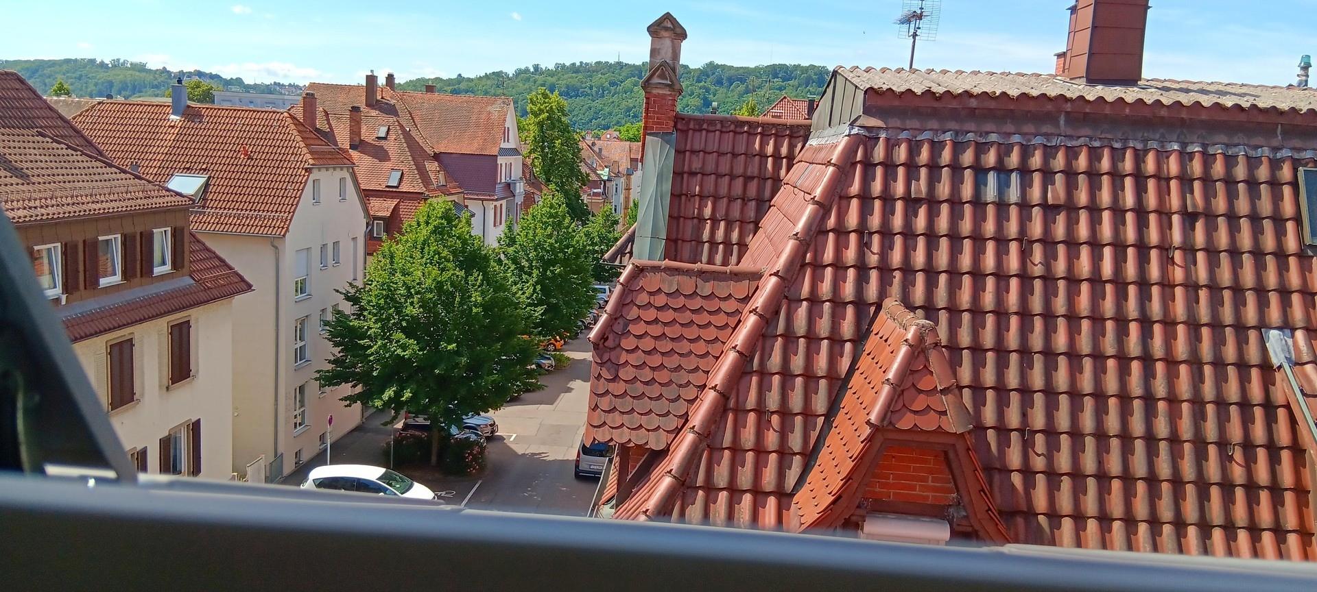 Ausblick Süd