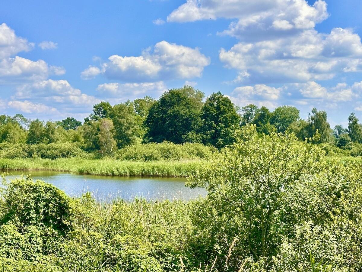 See mit Insel