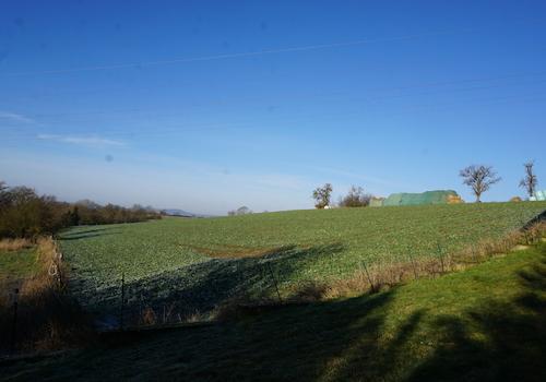 Blick vom Balkon
