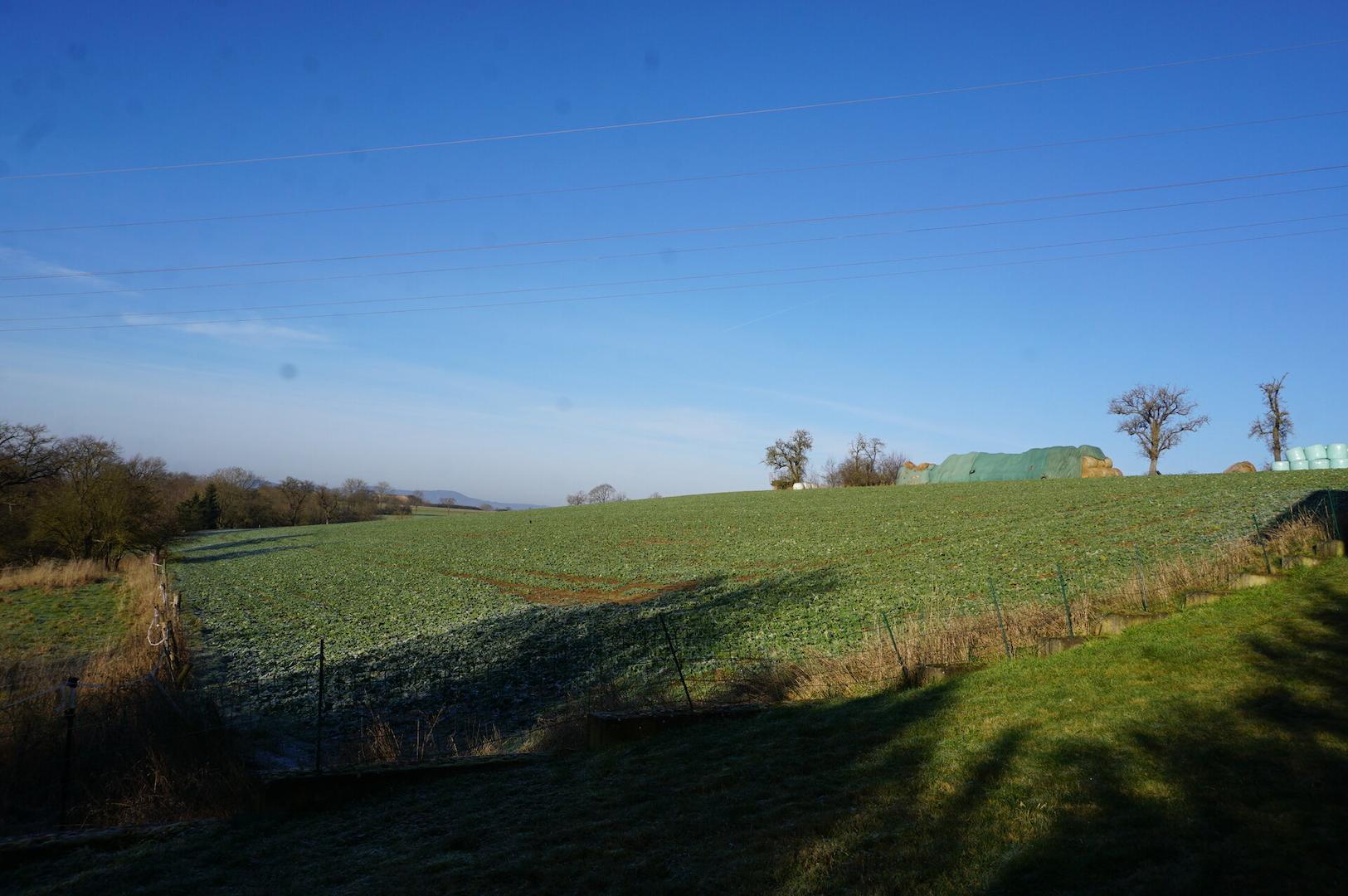 Blick vom Balkon