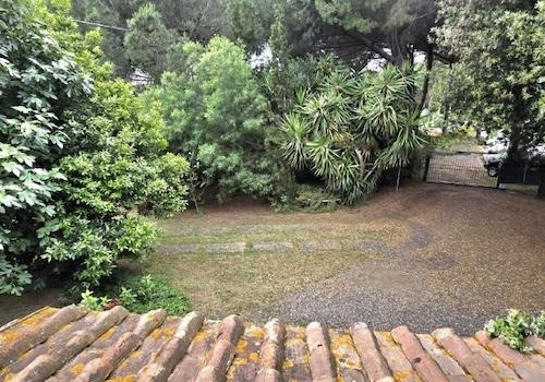 Blick in den Garten