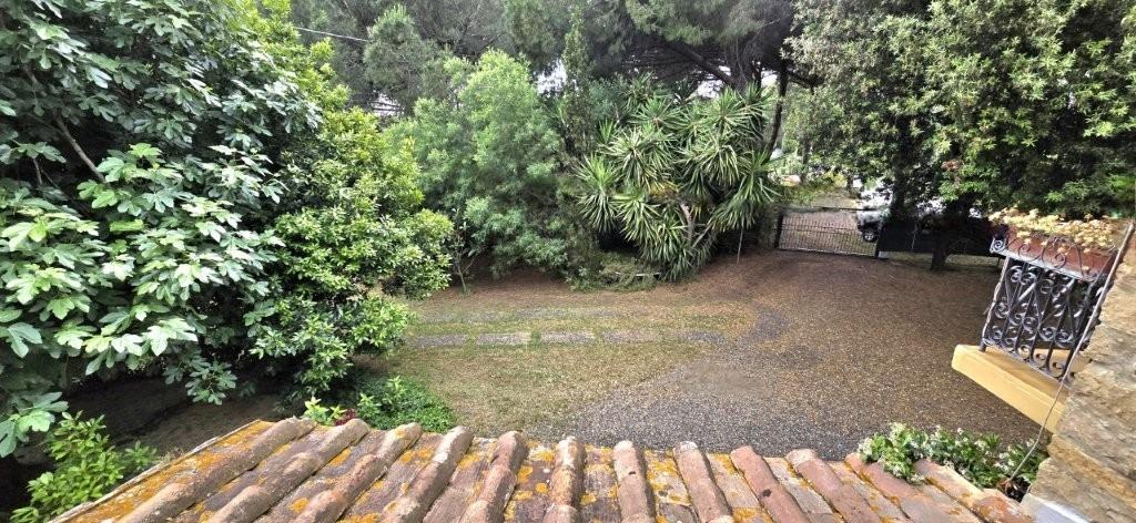 Blick in den Garten