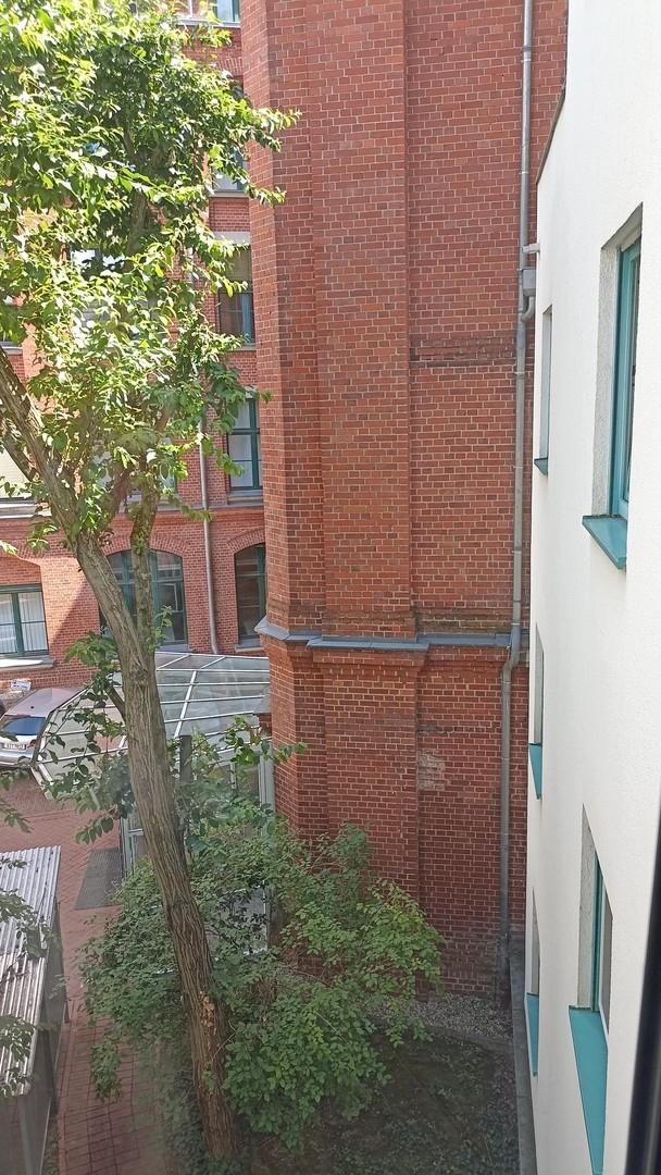 Fenster zum begrünten Innenhof