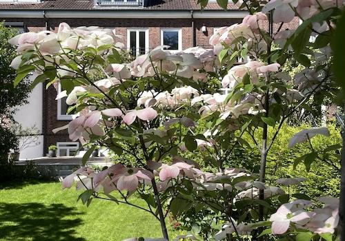 Sommergarten