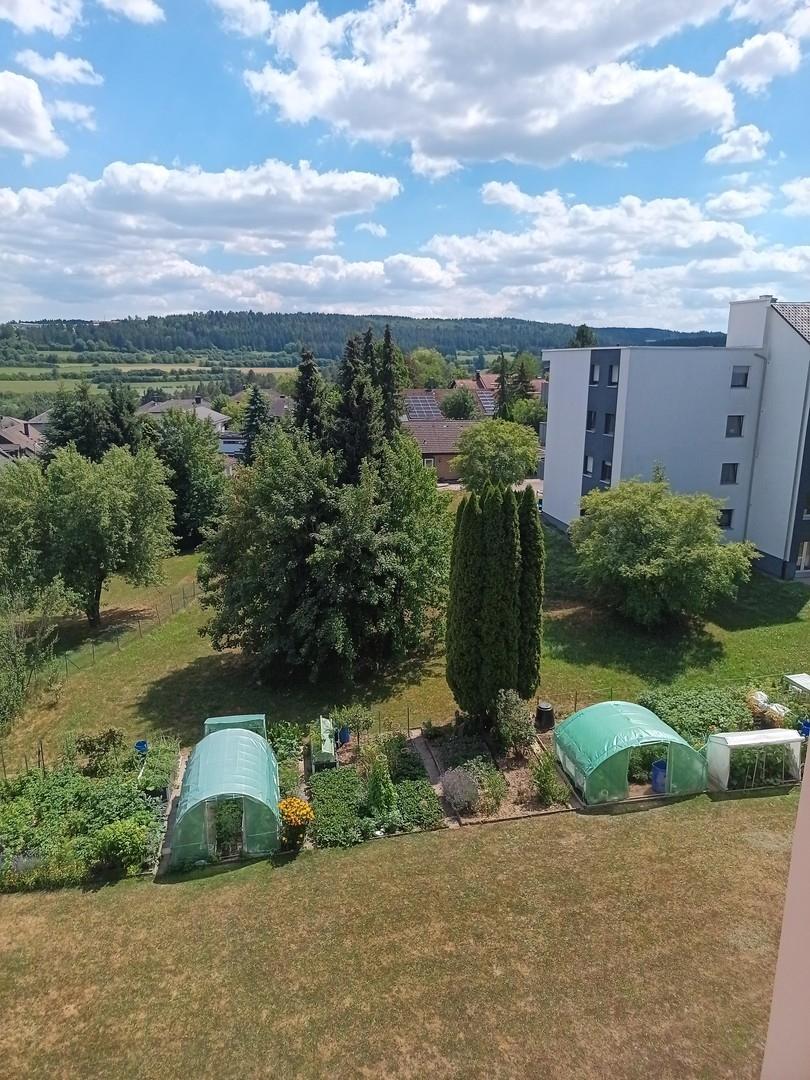 Aussicht in den  Garten 