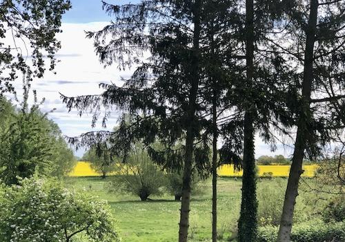 Blick von Terrasse