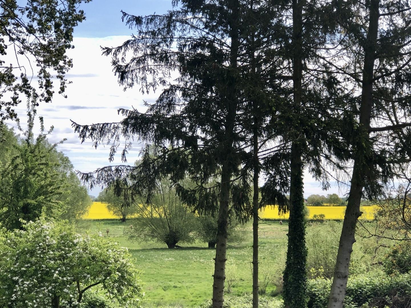 Blick von Terrasse