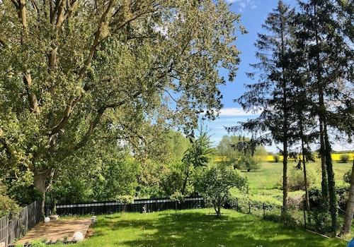 Garten mit Wiesen