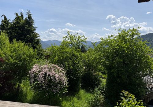 Balkonaussicht -Bergblick & Al