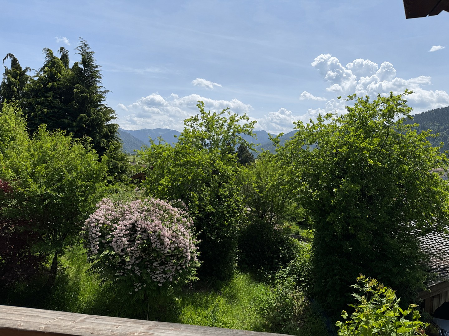 Balkonaussicht -Bergblick & Al