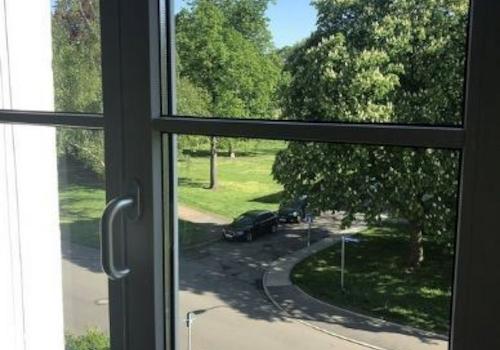 Ausblick