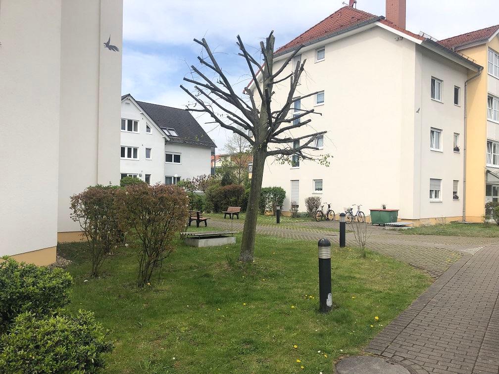 Umgebung