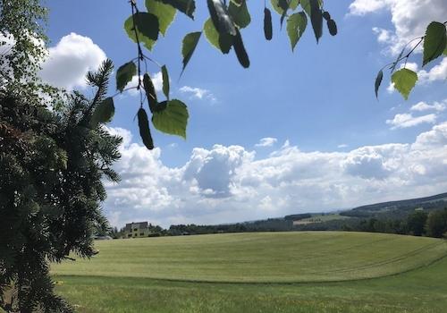 Ausblick
