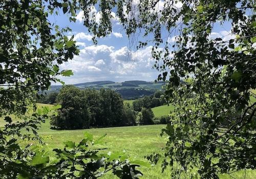 Ausblick vom Grundstück
