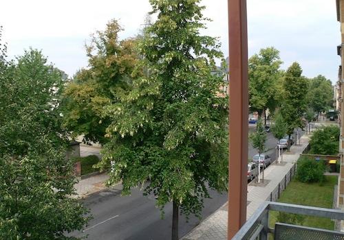 Ausblick
