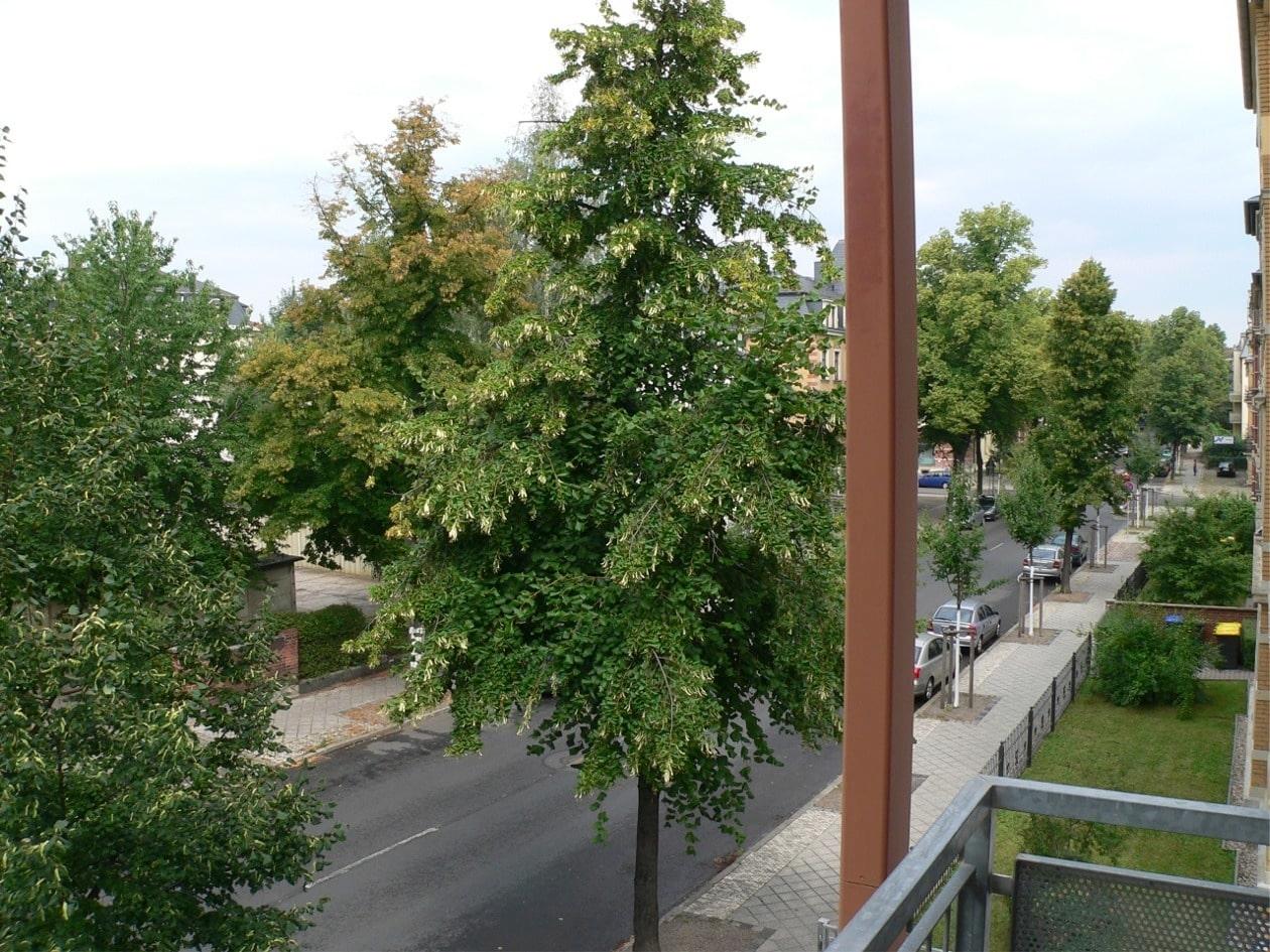 Ausblick