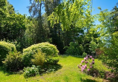 Traumgarten nach Süden