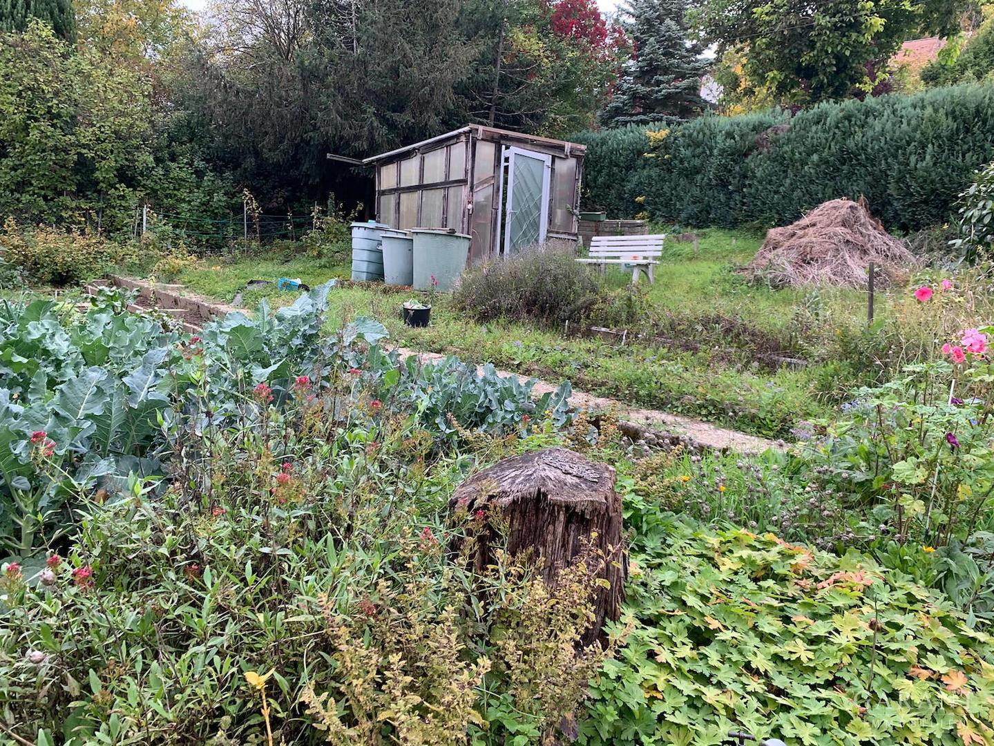 Garten