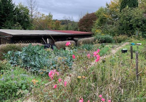Garten-PF