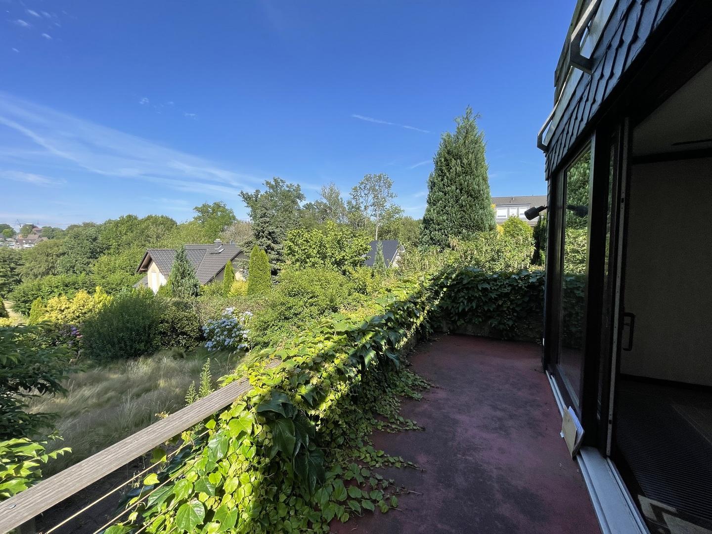 Ausblick