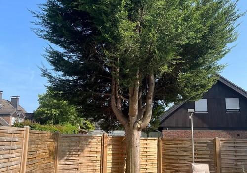 Garten zur Alleinnutzung