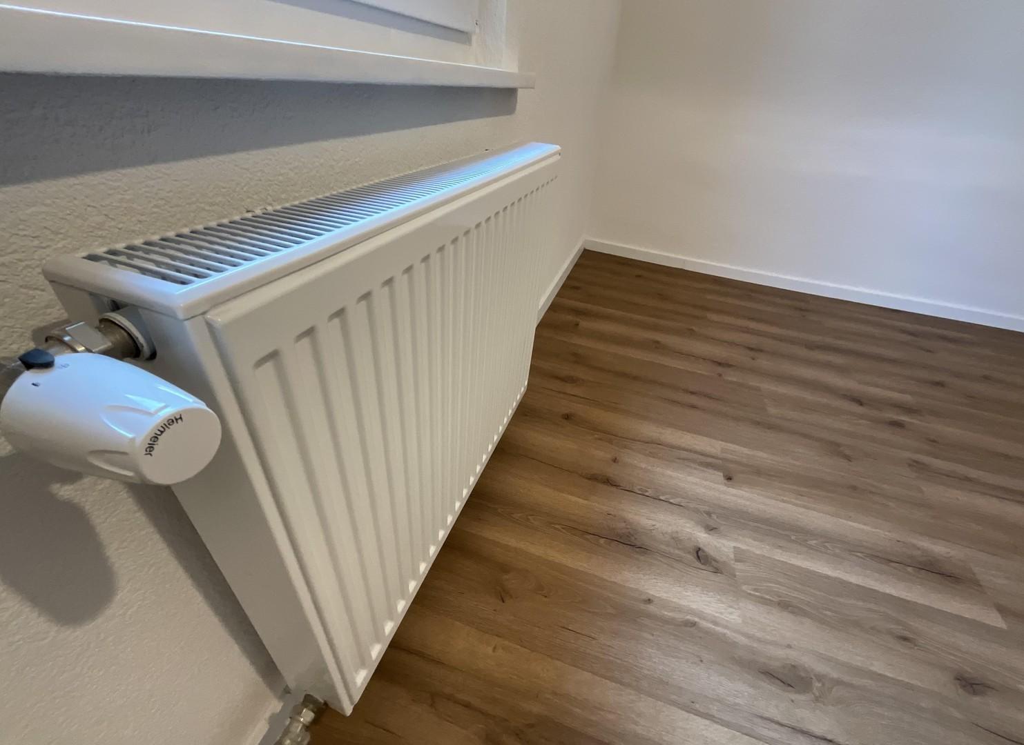 Heizkörper / Thermostat
