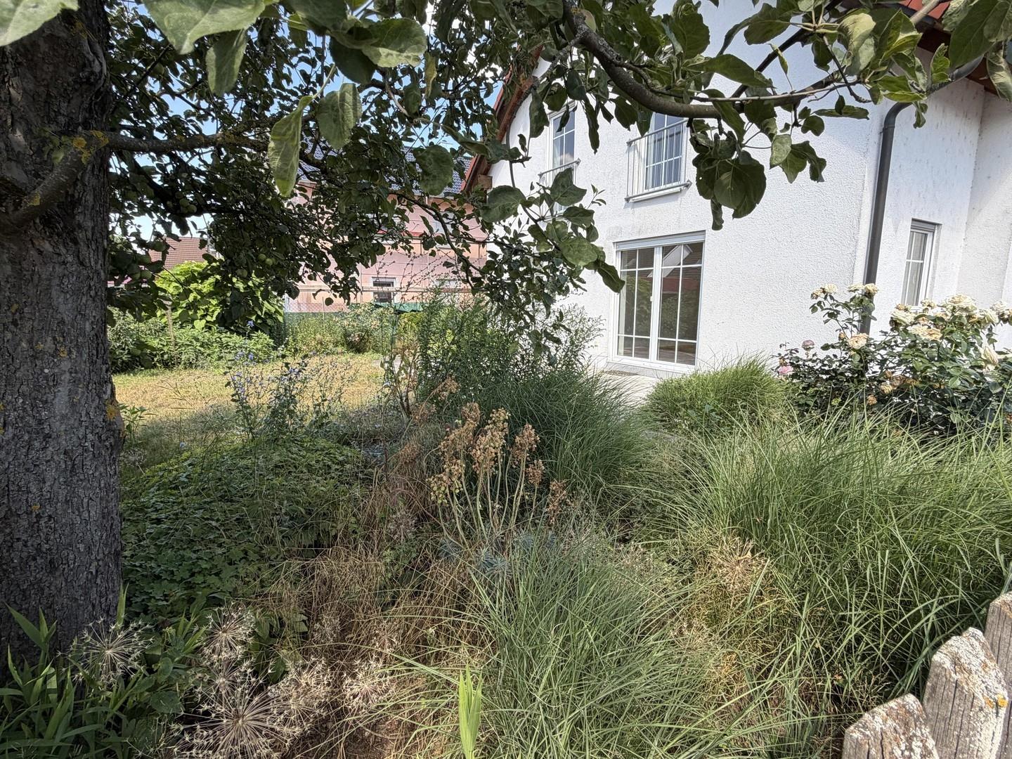 eingewachsener Garten