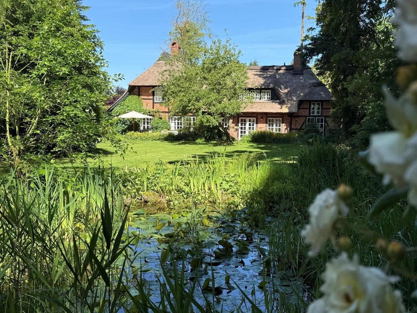 Gartenansicht mit Teich