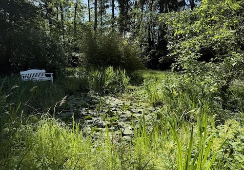 Gartenteich
