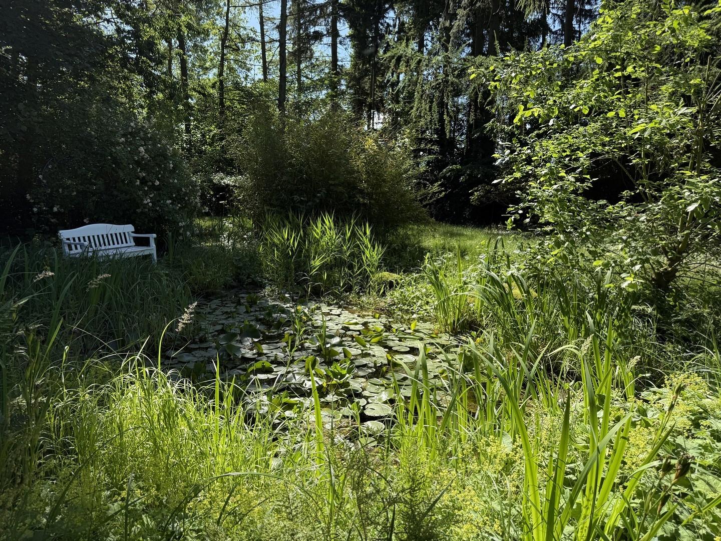 Gartenteich