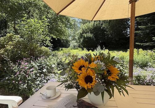 Blick in den Garten