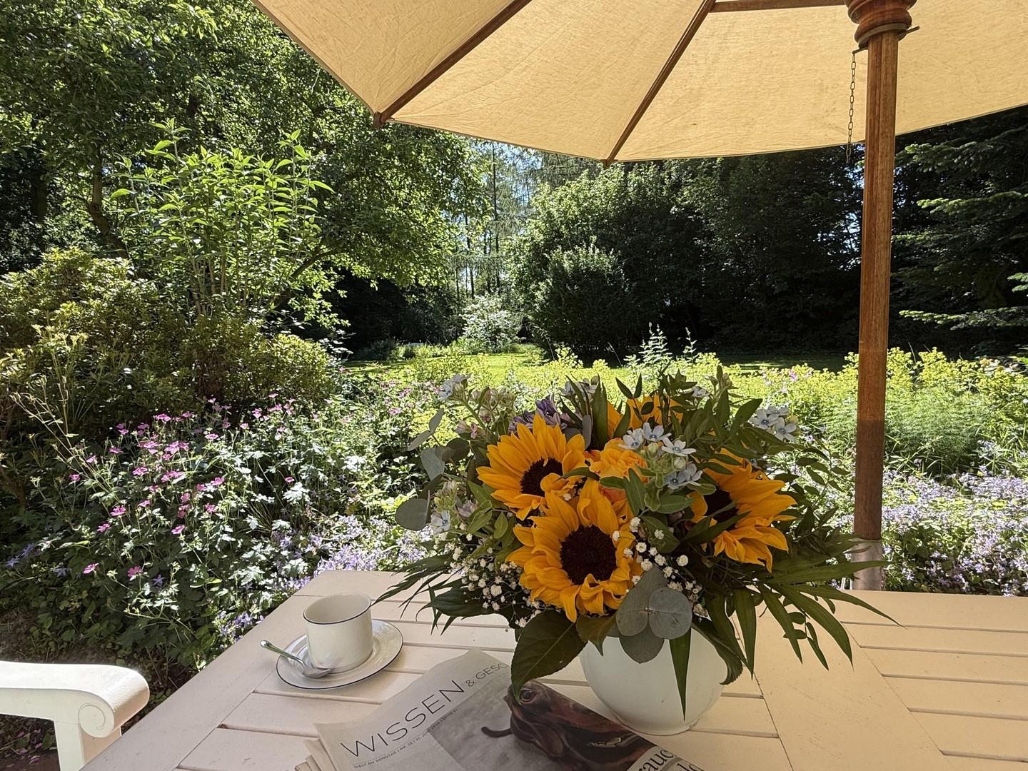 Blick in den Garten