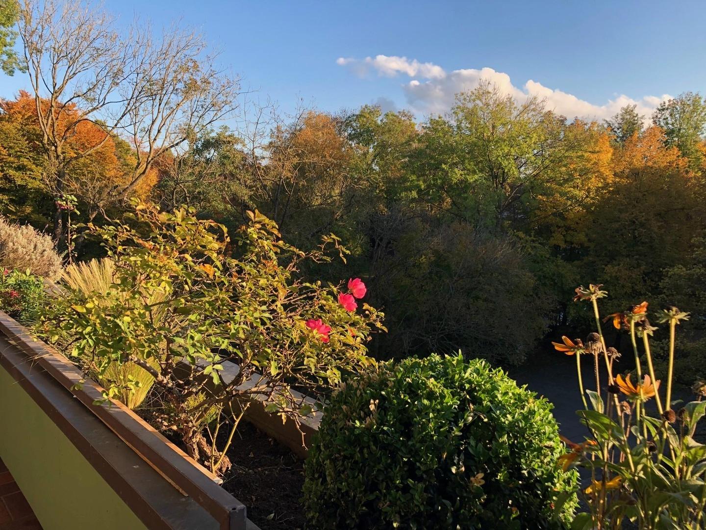 Blick vom Balkon