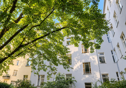 grüner Innenhof